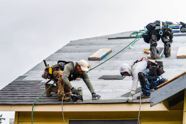 Professional Gutter Installation technician working in Ayden, NC